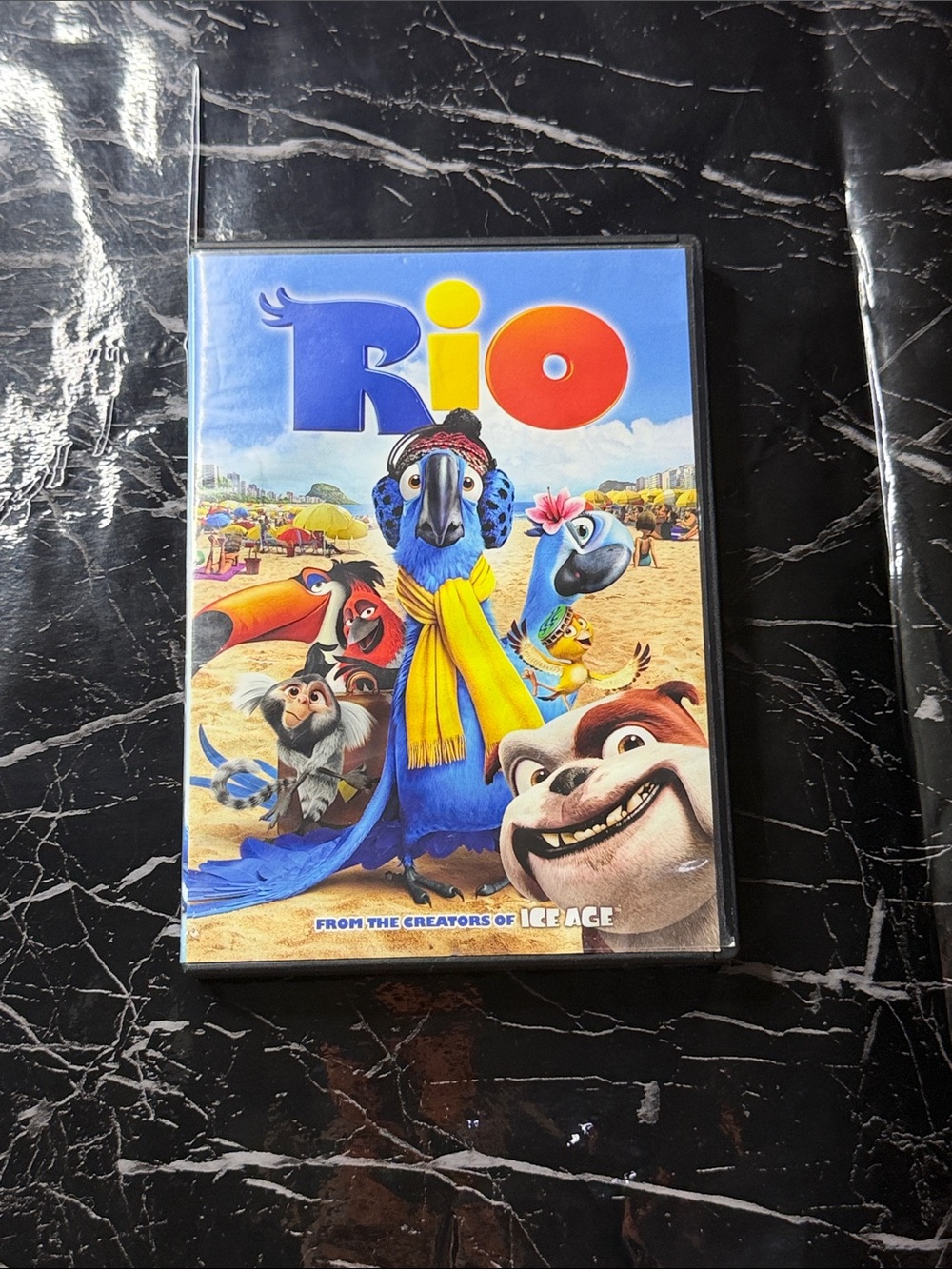 Rio movie DVD